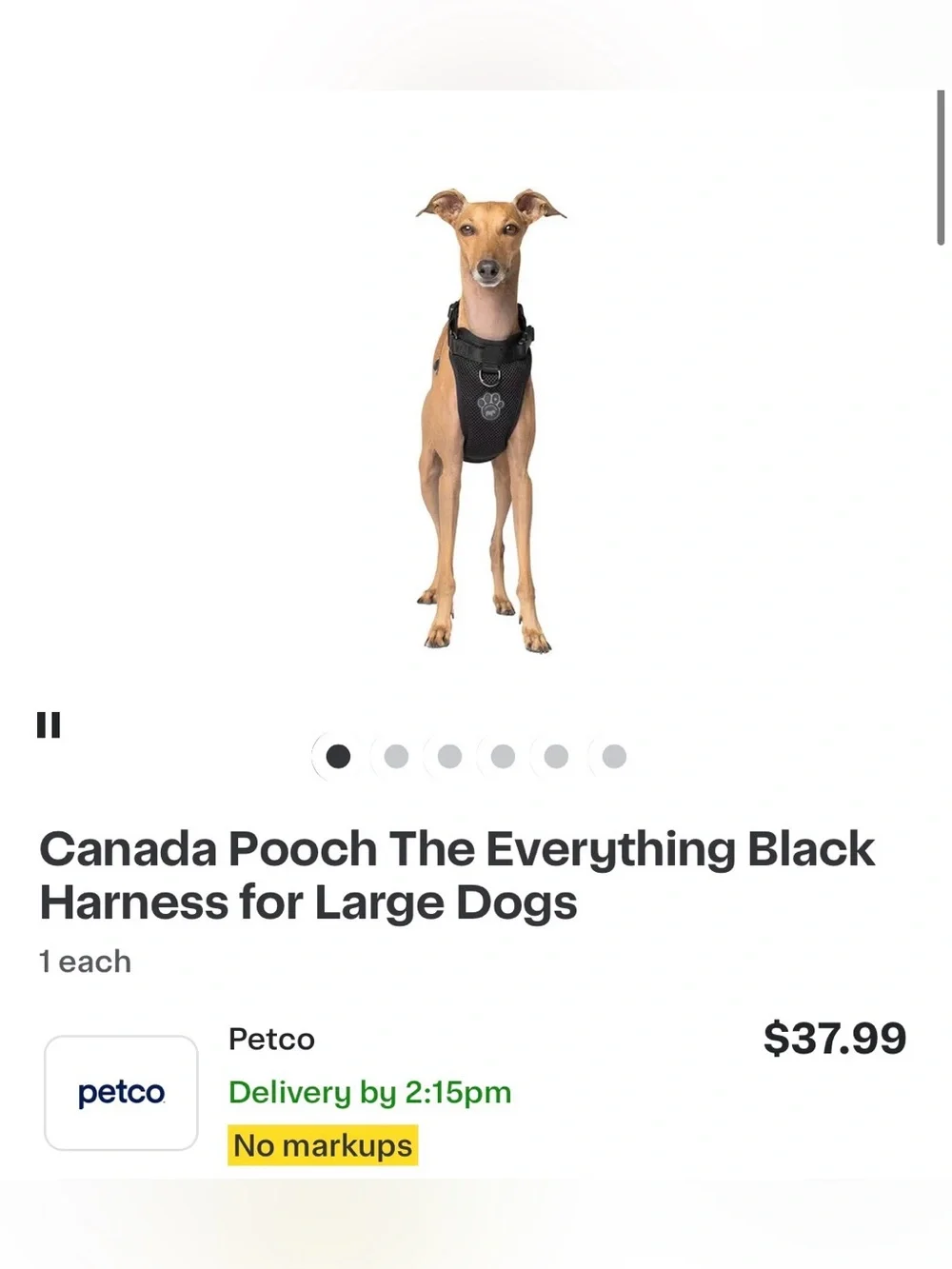 NWT Canada Pooch Everything Harness Black No-Pull